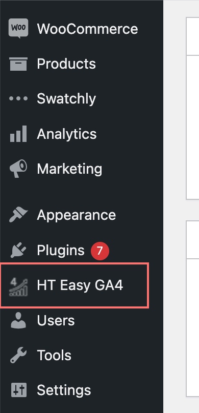 Navigate the HT Easy GA4 Menu