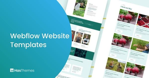 Webflow Website Templates