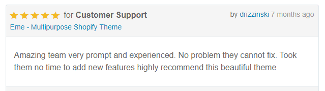 HasThemes Customer Review 10