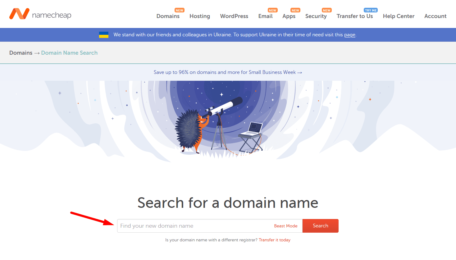 Purchase a Domain Name