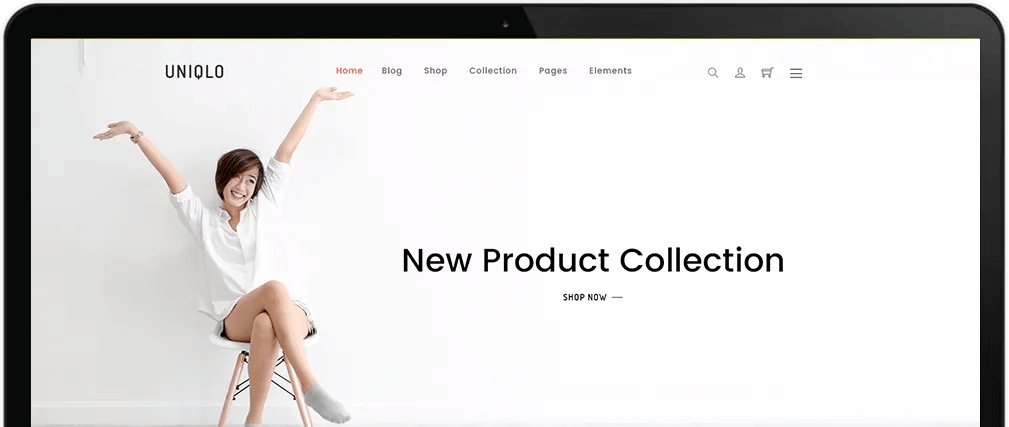 Premium Shopify Themes